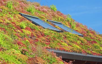Wretton living roof systems